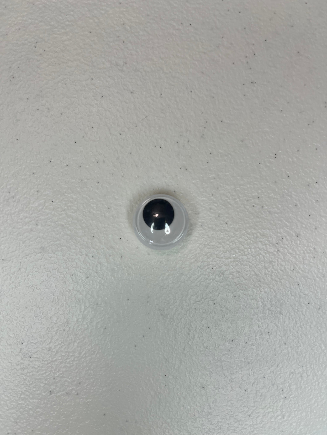 Googly Eye Croc Jibbit